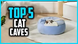 ✅Top 5 Best Cat Caves in 2024