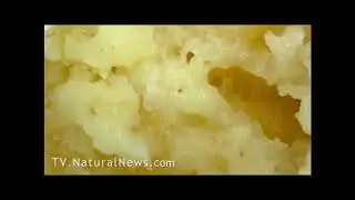 Nanotechnology In McDonald's Food; Under The Microscope Mike Adams