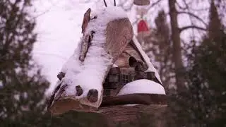 Jill's Garden as Winter Begins