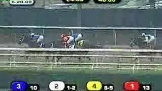 2008 Mother Goose Stakes
