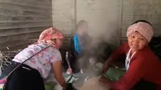 Desali reh Festival