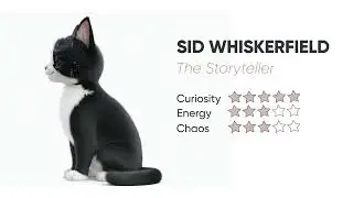 🐱🎵 Sid Whiskerfield | Why It Matters #CatCentralNetwork #SidWhiskerfield #Characters