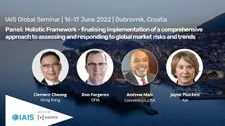 Panel: Holistic Framework