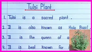 10 Lines Essay on Tulsi Plant || 10 Points Essay on Tulsi Plant || Few Lines on Tulsi Plant ||