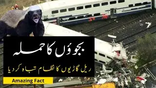 The Incredible Story of Bijjo's Tunnels: The Unbelievable Tale of Railway Paralysis