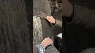 Removing  Baudoinia compniacensis from the wine barrel🤩🎓🎥➡️@frederic_bourgoin #winecellar #barrel