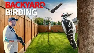 Filming INCREDIBLE Birds During the Great Backyard Bird Count!