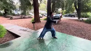 Chen pan ling Bagua staff (gun)
