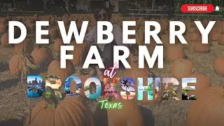 Dewberry Farm at Brookshire Texas