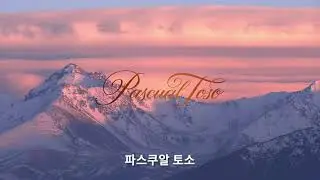 파스칼 토소 와이너리 | Bodegas y Vi&ntilde;edos Pascual Toso