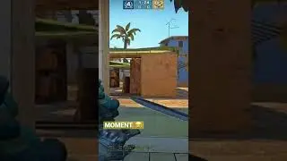 Franny moment 😂 #csgo