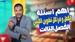 الحمل و مراحل تكوين الجنين | حل اسئلة الحمل ومراحل تكوين الجنين احياء تاتة ثانوي | احياء تالته ثانوي