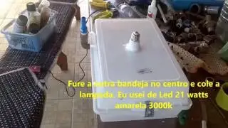 ATS - Algae Scrubber - Rápido fácil e barato de fazer.