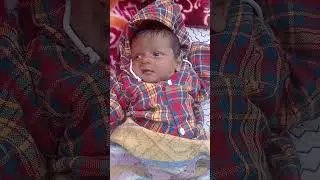 prince 🔥#cute #newbornbaby #mimi #baby #viralshorts #shorts #cutebaby #dailyvlog