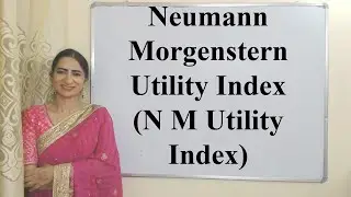 Neumann Morgenstern Utility Index (N M Utility Index)