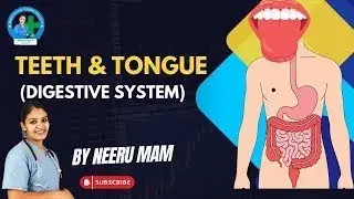 Teeth & Tongue | Digestive System | Neeru Mam | Shri Balaji Nursing #digestive #health #nursing