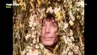 Pagliara maje maje