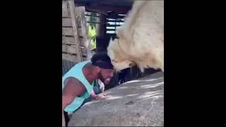Guy goes head to head with a Goat