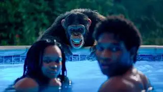 Pet Chimpanzee Gets Infected With Rabies and Starts Hunting Anyone Outside the Pool