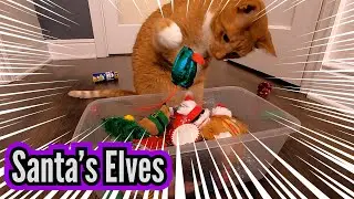 CHRISTMAS CATS HELPING SANTA - Santa's Elves are Cats! - Merry Christmas! 🎅🎄❄⛄ - Sassy Kitty Cats