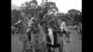 XXV Concurso del caballo de paso peruano. La Molina, abril de 1969.