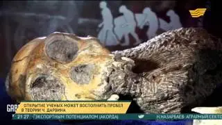 Открытие ученых может восполнить пробел в теории Дарвина