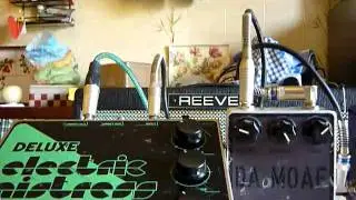 Electro-Harmonix Electric Mistress deluxe Green