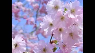 Abraham Hicks - A discussion about non physical