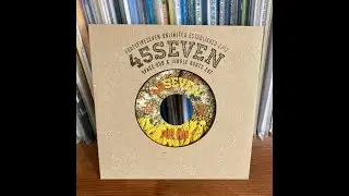 Dub Across Borders - 