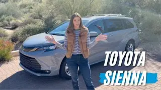 Toyota Sienna XLE Woodland Edition 2023 года