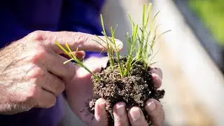 Fueling Louisiana&rsquo;s Sweet Success 🌱
