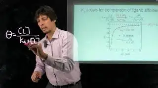 Topic 6.9 - The hyperbolic equation for ligand binding