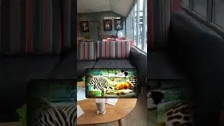 GhostTube - Seer Ghost hunter plays gets this very strange image!