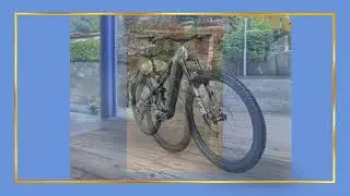 Specialized Levo Gen 4 Expert