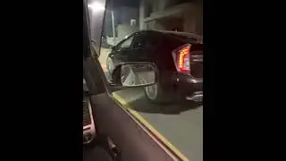 Prius VS Prius