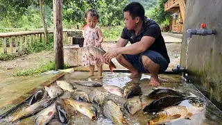 45 Days build farm,Gardening,Harvesting, Chicken,Fish,Pig,Market and Cooking /XuanTruong.