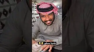 سنابات رشيد بن طاحوس l طحينا ممطور😂😂