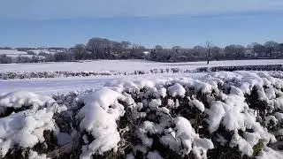 Gilling West Snow 2021