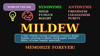 Mildew: The Word for a Type of Mold 🍄 A Household & Biology Term