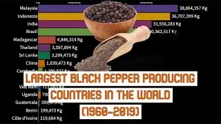 Largest Black Pepper Producing Countries in the World (1960-2019)