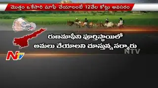 AP Govt Planning for Farmers Total Loan Waiver in one go  || NTV
