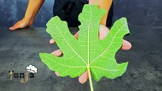 Reguluj poziom cukru we krwi w naturalny spos&oacute;b &ndash; naturalny lek na cukrzycę
