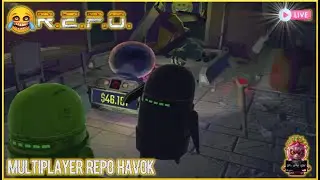 Repo - Multiplayer Havok