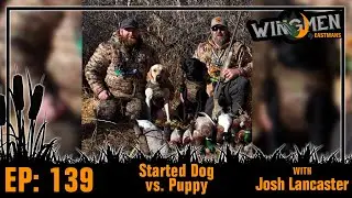Started Dog vs. Puppy with Josh Lancaster | Wingmen Podcast #139