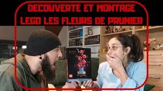 DECOUVERTE ET MONTAGE LEGO LES FLEURS DE PRUNIER