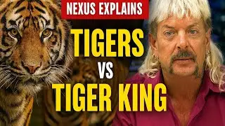 Tigers and Joe Exotic Deep Dive with Nexus