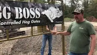 Hogg Boss Gates
