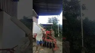 Free does not want to. #funny #shaors #zack #video #shortvideo #magic #tutorial #viral #escaping