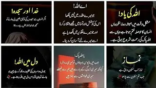 Urdu Quotes | Aqwal e Zareen New | Best Quotes in Urdu