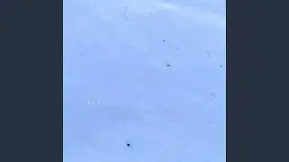 Why